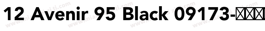 12 Avenir 95 Black 09173字体转换